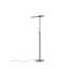 Type A LED Arched Floor Lamp-61733799-61733798