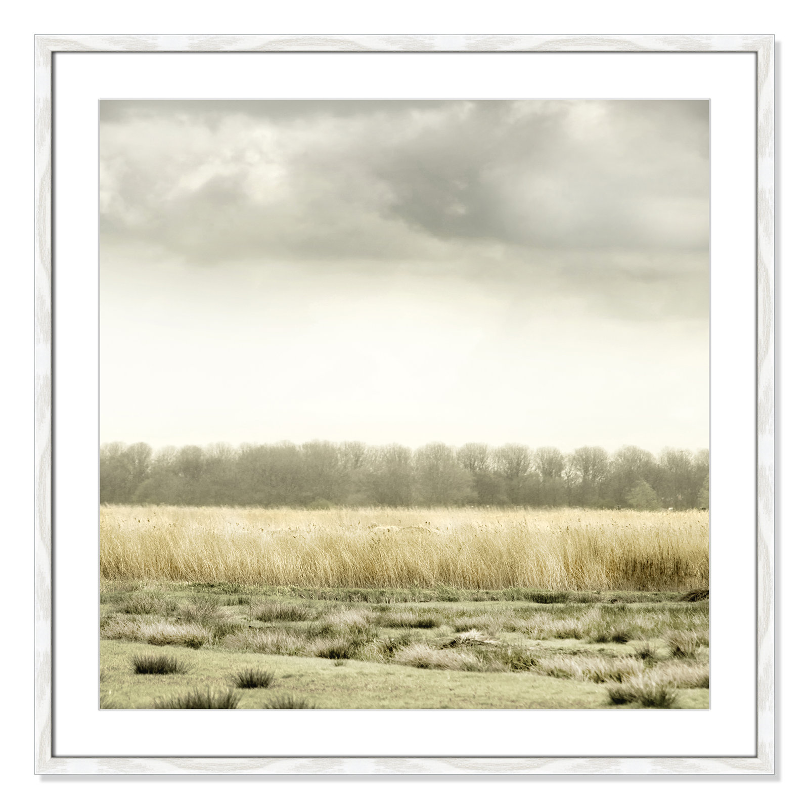 Henri "Meadowland" Print by Danita Delimont, 33" H x 33" W, White Wood Grain
