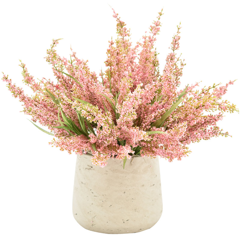 Ferdinand Heather en pot, Rose
