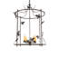 Jillian 4 - Light Pendant