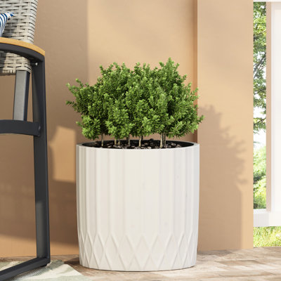 Jardinière élégante en blanc antique - Bassin à plantes en oxyde de magnésium, 12,5 po Profondeur, largeur, hauteur, pot de plantation de 9,33 lb pour les bureaux,