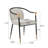 Jaquayla Gold-Tipped Modern Dining Chairs-1796146592