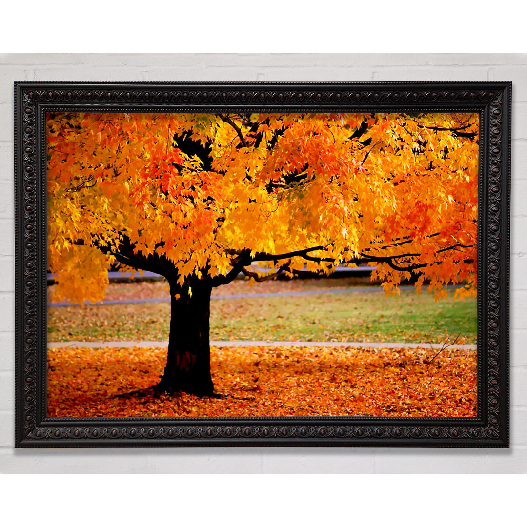 Orange Autumn Tree - Einzelner Bilderrahmen Kunstdrucke