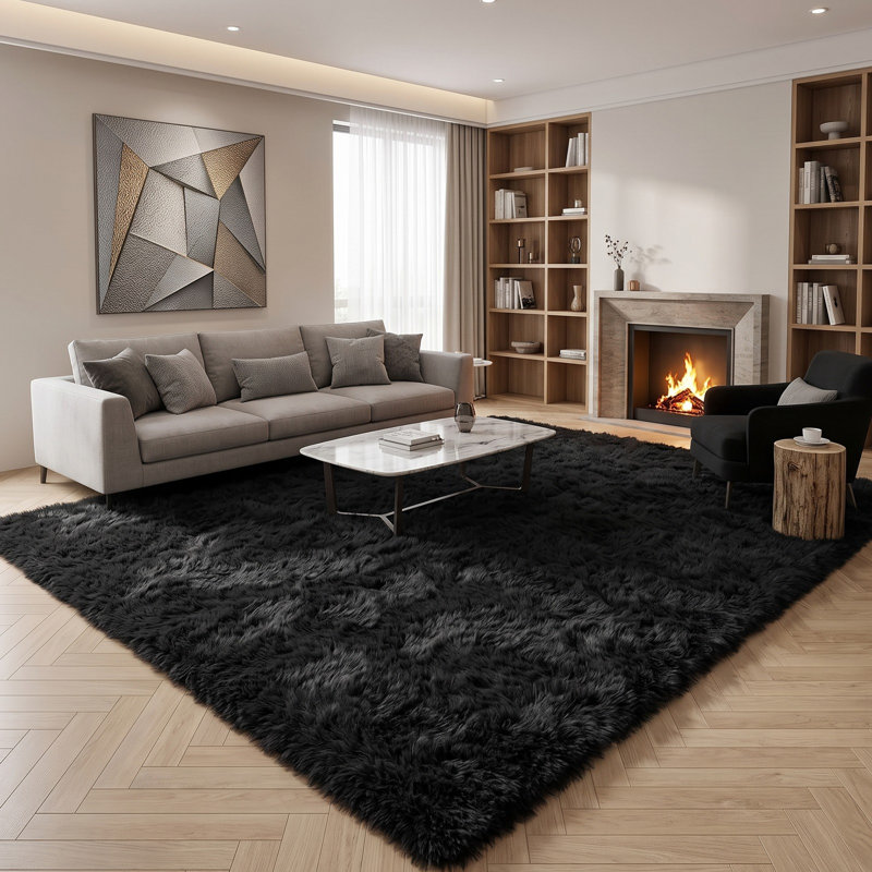Deep Pile Fluffy Shaggy Area Rug for Indoor Use , black, 200*300cm