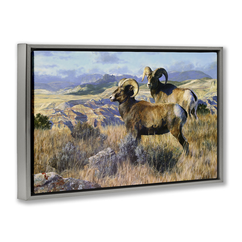  Wild Rams Torrey Canyon Framed Floater Canvas by Mark Kelso, 17" H x 25" W, Luster Gray Floater Frame