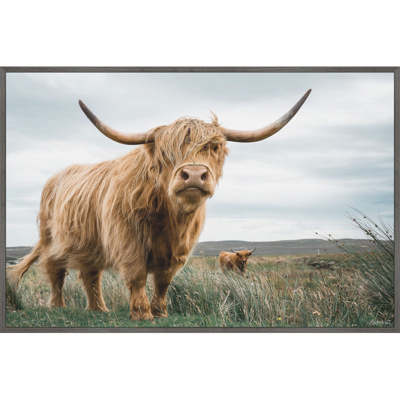 «Grazing Cattles», reproduction encadrée, Toile, Noir, L 18 po x H 12 po