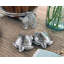 Arthur Court Designs Coastal Sea Turtle 2-Piece Salt and Pepper Set