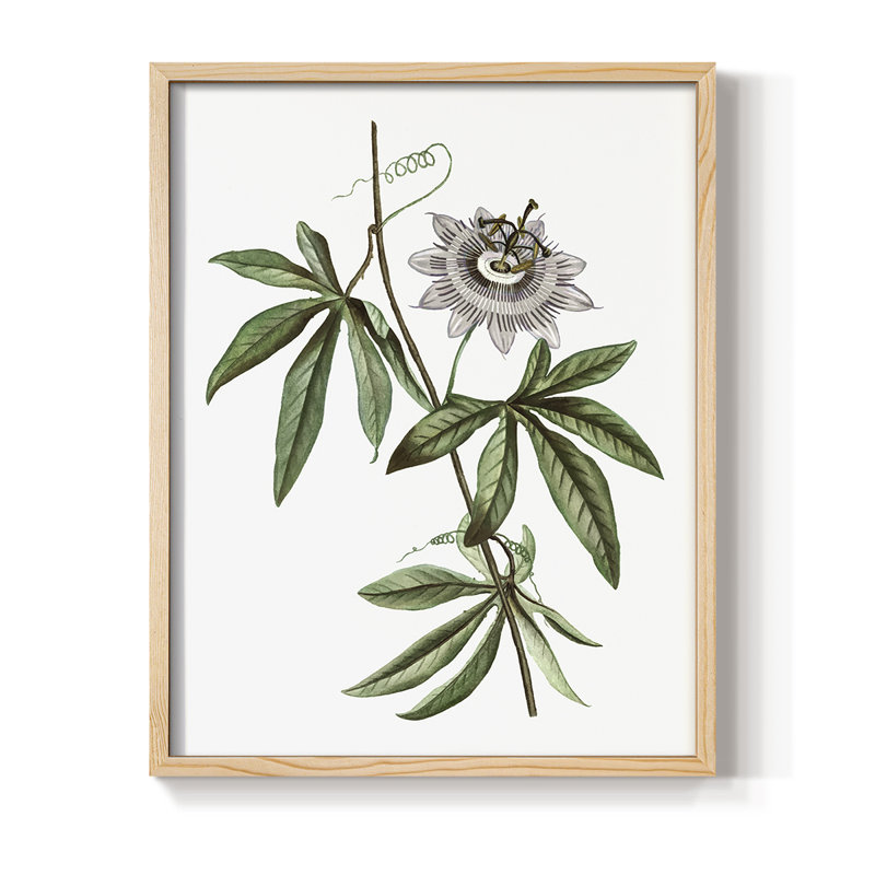 Tropical Botanical I, reproduction encadrée - bois massif, Naturel, H 30 po x l 24 po
