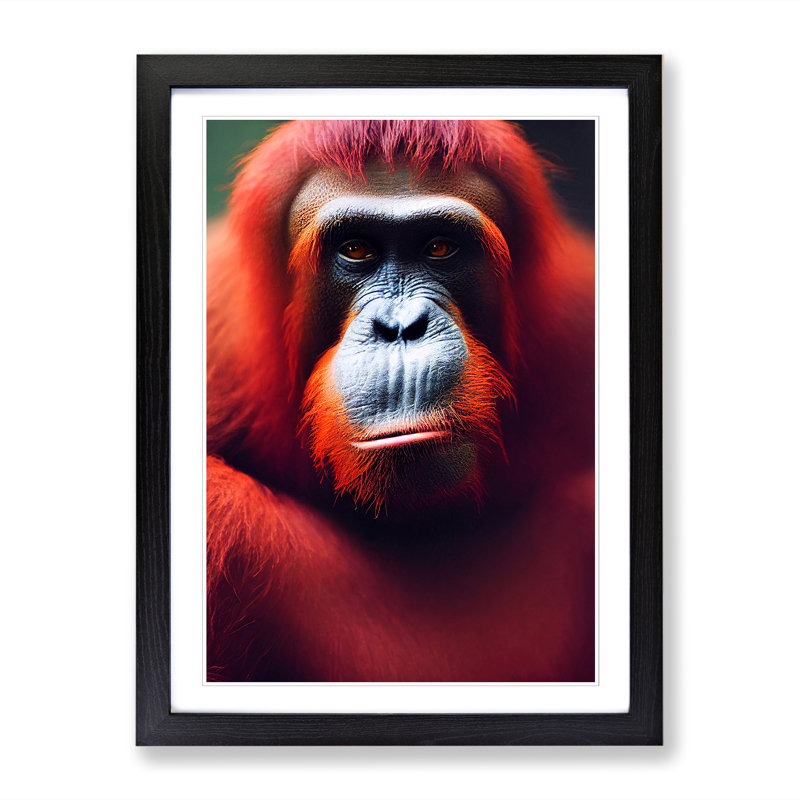 FRM-V0523-1645X Orangutan Portrait Vol.4 - Picture Frame Print, Black, 64cm H x 46cm W x 2cm D