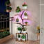 Plant Stand