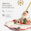 Spode – Christmas Tree – Spode Christmas Tree Figural Santa Dish
