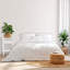 Darshan 42cm W Bedside Table