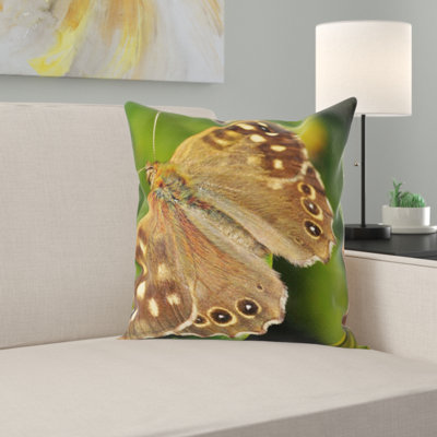 Butterfly Square Pillow Cover & Insert