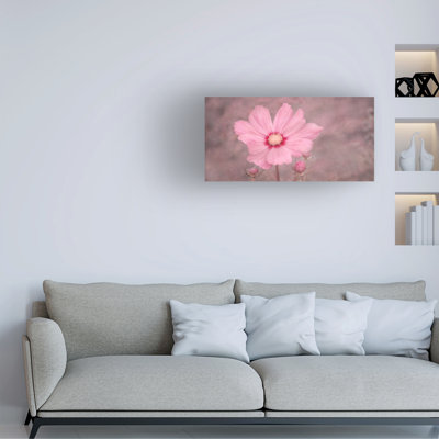 Bolog Marie-Anne Stas PINK 2 Canvas Art