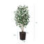 Adcock UV Protected Artificial Ficus Tree with Decorative Base, Faux Ficus Plant with Natural Trunk-1722551520-1722551526