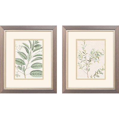 Branch Framed Art