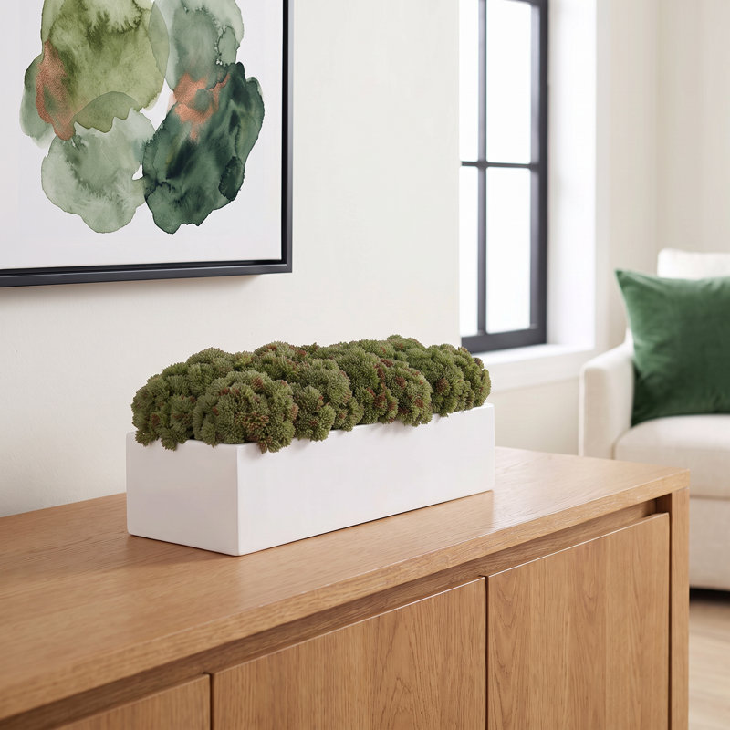 Arrangement de sédums dans un pot Fiberstone, H 7 po x l 17 po x P 7 po, Vert, Blanc