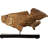 Animals Figurines & Sculptures