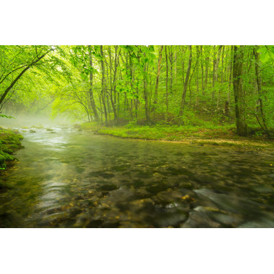 " Misty Wild River " by Cta88