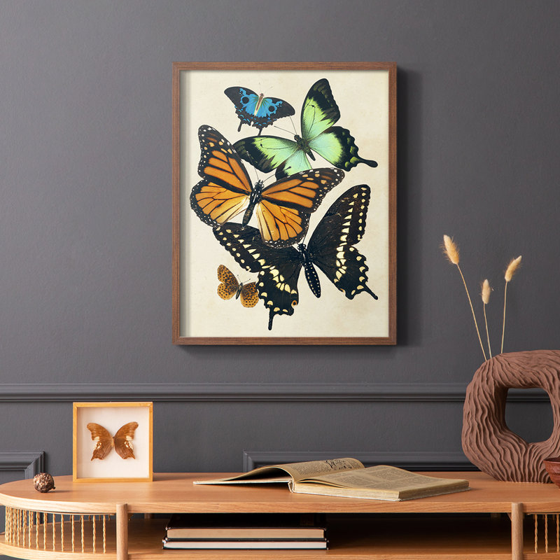«Collage Butterflies I», reproduction encadrée - bois massif, Brun, H 10 po x l 8 po