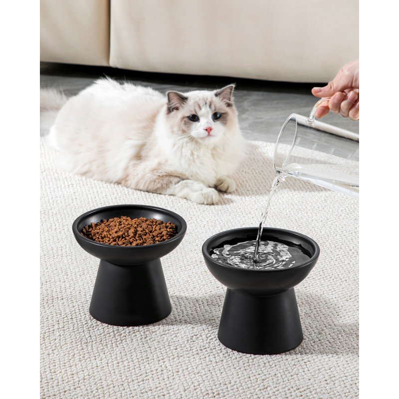 Elevated Feeder, Black
