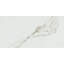 Revêtement de sol en vinyle Daltile Grantshire 12 x 24 6,0 mm 20 mil-115727474-115727475