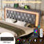 Upholstered Ottoman Storage Bed-1134313254-1134313249