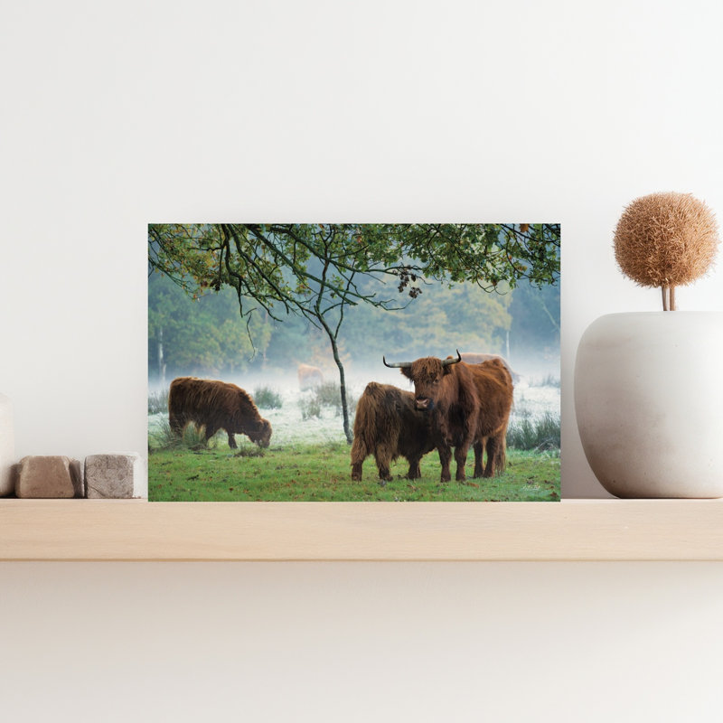 Print, 30.48cm H x 45.72cm W