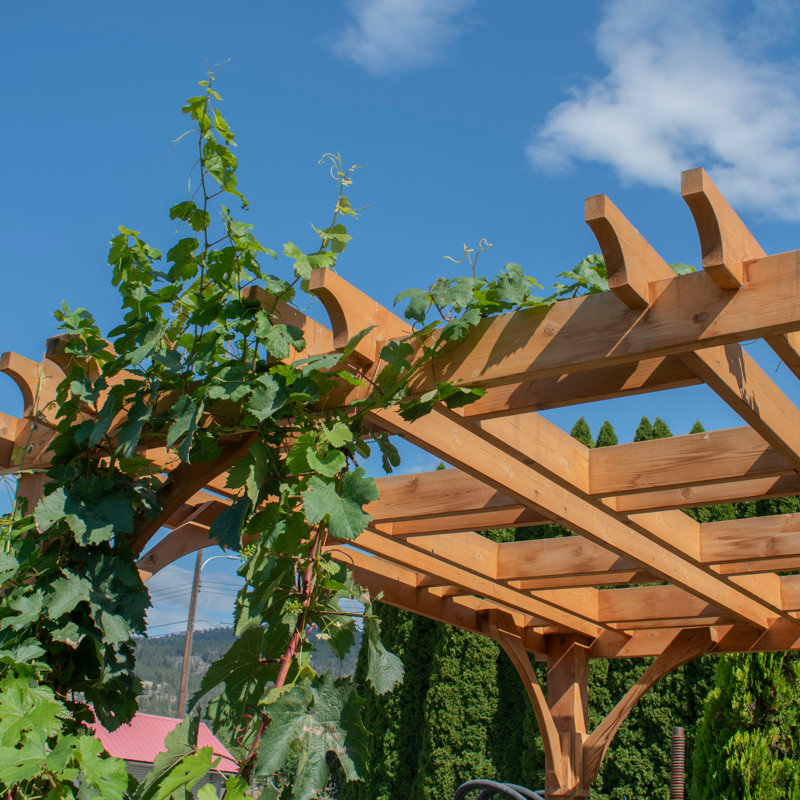12 ft. W x 20 ft. D Breeze Solid Cedar Wood Pergola with Retractable Canopy, Brown, 20 ft. W x 20 ft. D