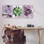 «Purple Sprouting Succulents Close Up», ensemble de 3 giclées encadrées par Lil 'Rue-1632164213-1632164203