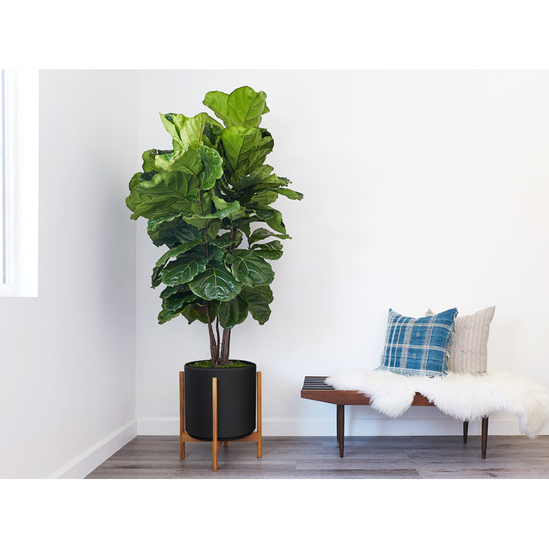 Riverside Handmade Ceramic Pot Planter, White/Darkened Teak, 20.25" H x 17.5" W x 17.5" D