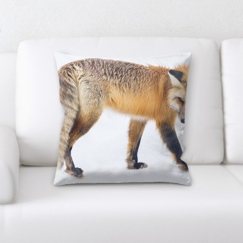 Coussin de fox