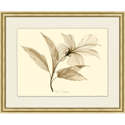 " Crocus " Painting Print