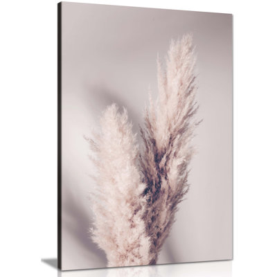 Dried Pampas Grass And Its Shadow - Wrapped Canvas Print