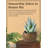 6.25'' Faux Succulent Plant in Stone Pot