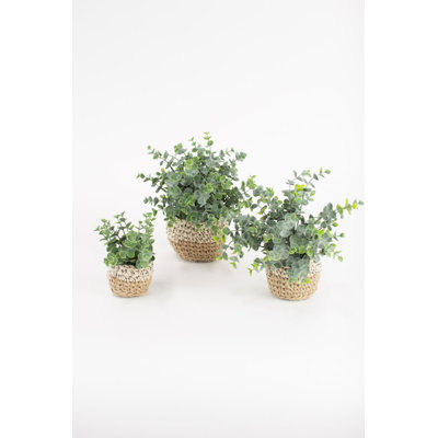  Artificial Eucalyptus Plants in Woven Pots – Decorative Faux Greenery, Set of Three