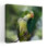Art contemporain Art animalier contemporain