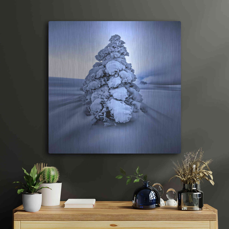 Ebern Designs «And the Wind Blows» par Philippe Sainte-Laudy, art mural en métal, H 24 po x l 24 po