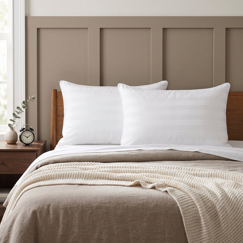 Ensemble de 2 oreillers en duvet de duvet synthétique, Standard
