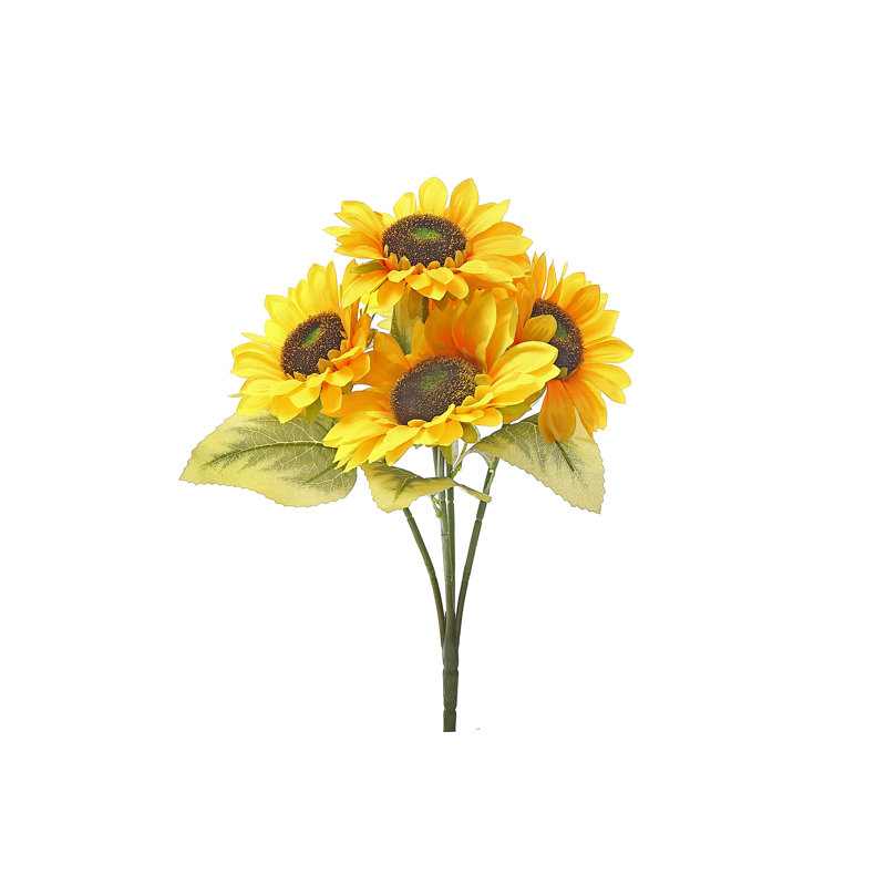 5 têtes de tournesol