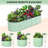 8x2x2 FT Galvanized Raised Beds for Outdoor, Oval Raised Garden Bed with Open Base for Outdoor Vegetables & Flowers, Tool-Free Assembly,Green-428289658-428289657