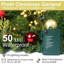 Guirlande Christmas