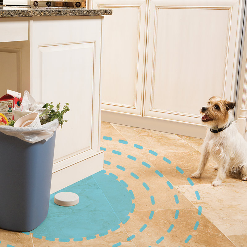 PetSafe Adjustable Indoor Pet Barrier with Receiver Collar