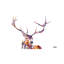 Red Stag by Becksy - Wrapped Canvas Print-1020754008-1044441156