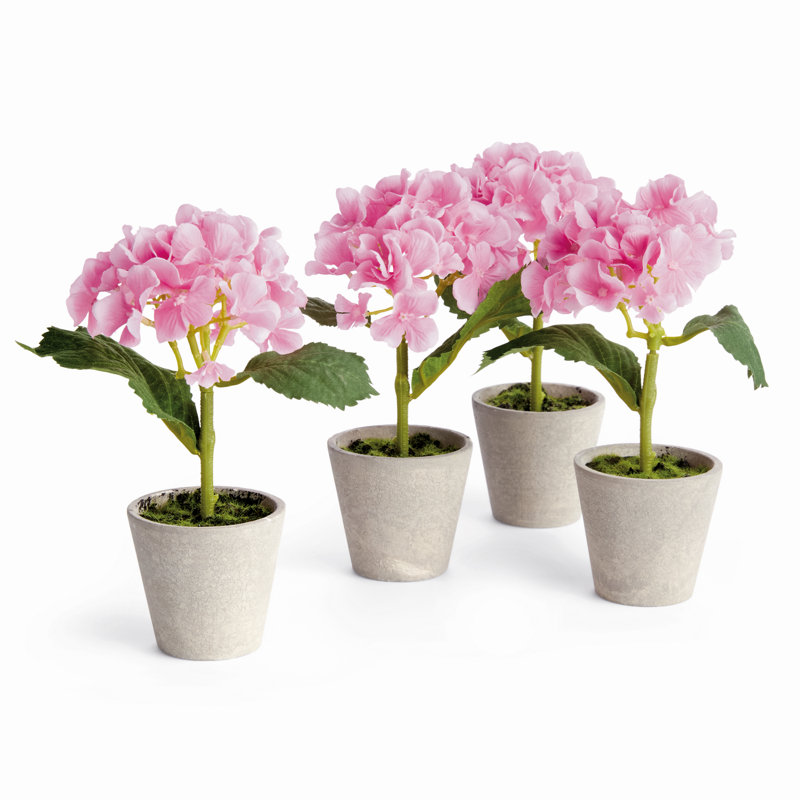 Ensemble de 4 mini pots hydrostatiques 8 po, Rose