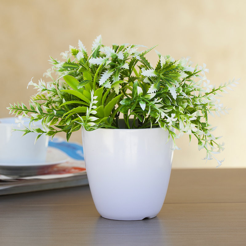 Plante à feuilles persistantes artificielle 8 "en pot