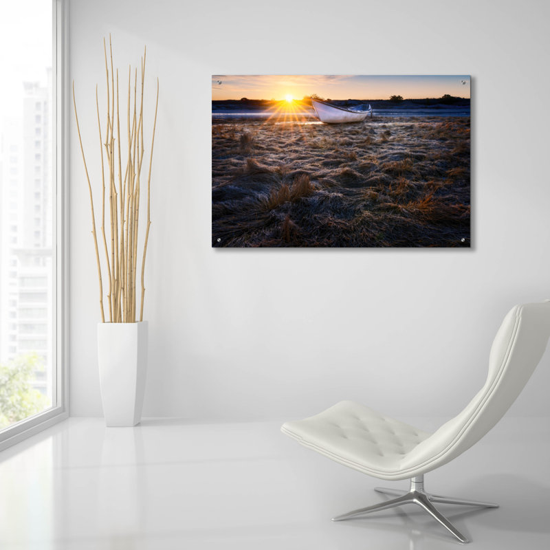 Art mural en verre Highland Dunes «Finding Dory» par Rick Berk, H 24 po x l 36 po x P 0,2 po