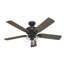 Ventilateur de plafond à 5 pales de 52 po avec lumières et chaînes à tirer Rosner-85433816