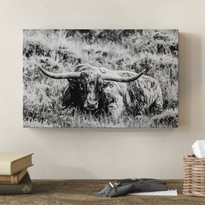 « b&w longhorn iii », photographie sur toile tendue, H 22 po x l 32 po x P 2 po