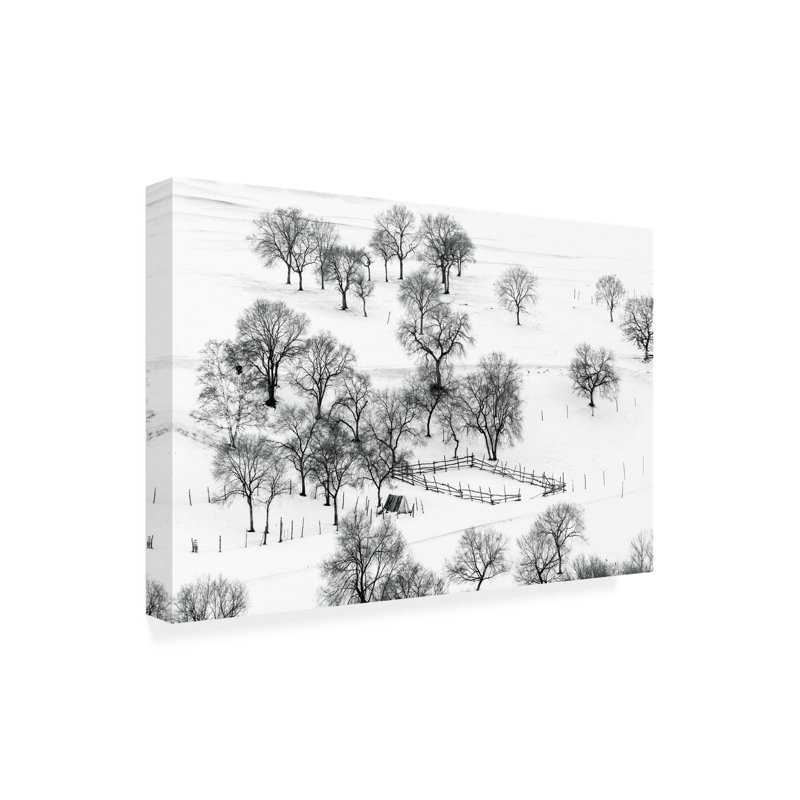 Art hollandais sur toile Hua Zhu Bashang, H 12 po x l 19 po
